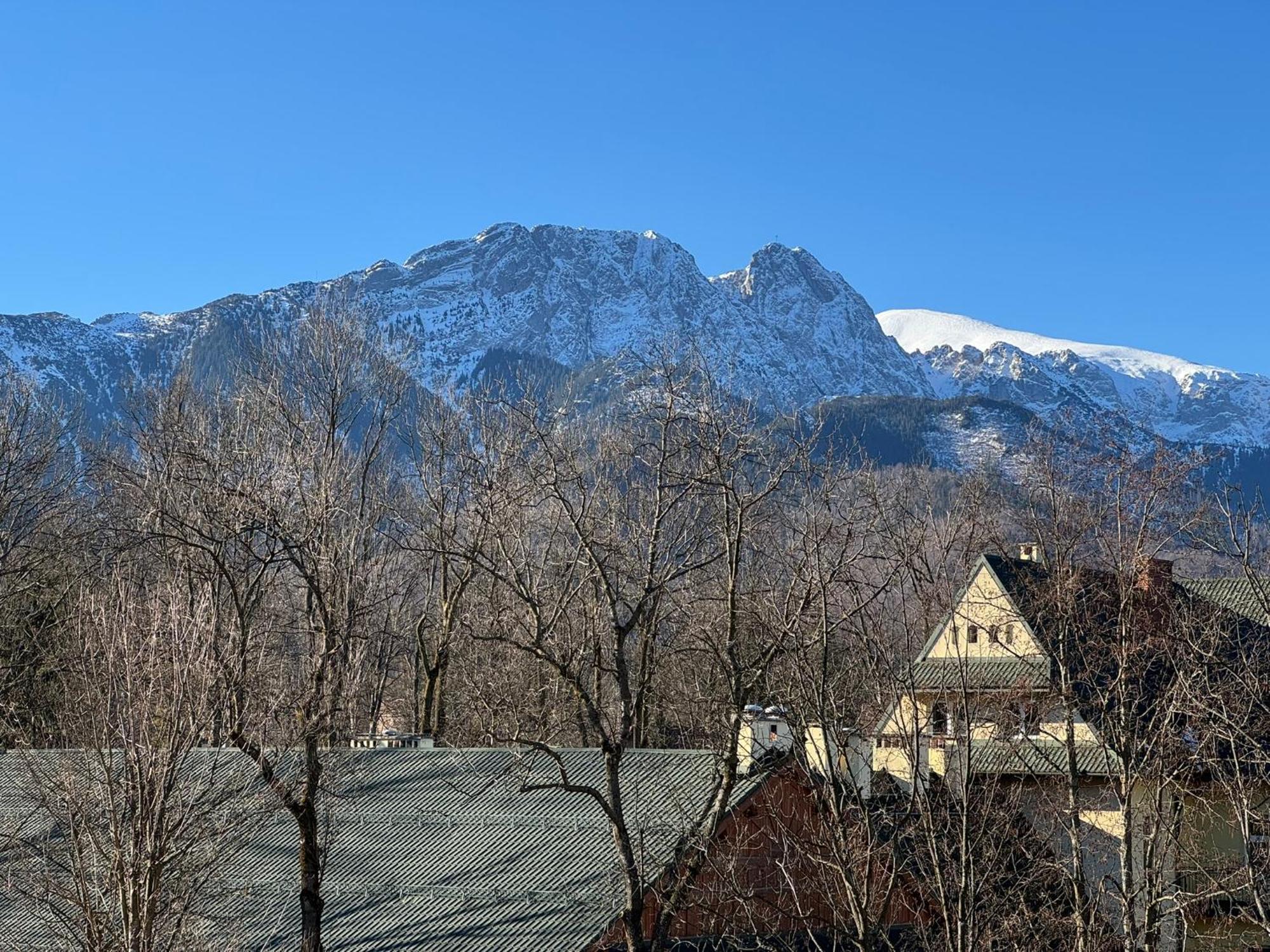 Dafne Zakopane Bed & Breakfast Exterior photo